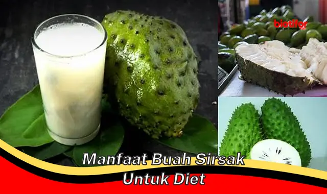 manfaat buah sirsak untuk diet