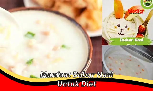 manfaat bubur nasi untuk diet