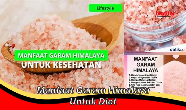 Temukan Manfaat Garam Himalaya untuk Diet yang Jarang Diketahui