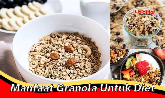 Temukan Manfaat Granola untuk Diet yang Jarang Diketahui