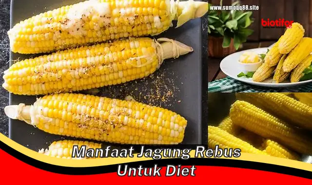 manfaat jagung rebus untuk diet