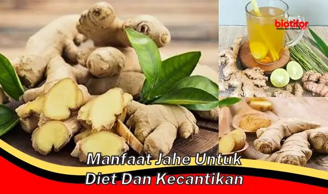 manfaat jahe untuk diet dan kecantikan