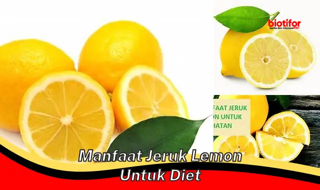 manfaat jeruk lemon untuk diet