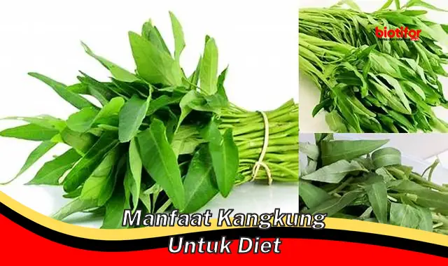 Temukan 5 Manfaat Kangkung untuk Diet yang Jarang Diketahui