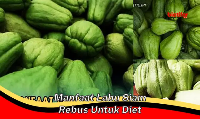 manfaat labu siam rebus untuk diet