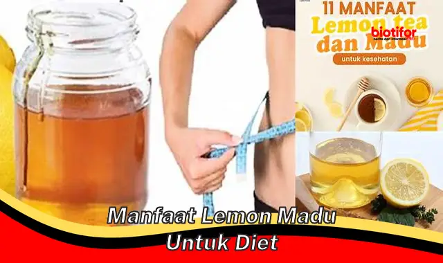 manfaat lemon madu untuk diet