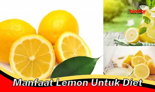 manfaat lemon untuk diet