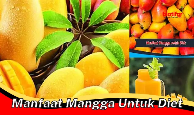 manfaat mangga untuk diet