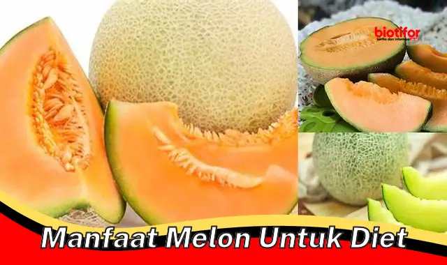 manfaat melon untuk diet