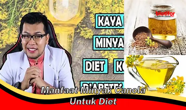 manfaat minyak canola untuk diet