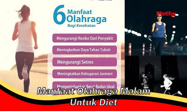 5 Manfaat Olahraga Malam Untuk Diet Yang Jarang Diketahui Biotifor