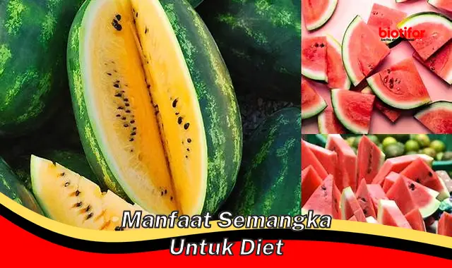 manfaat semangka untuk diet