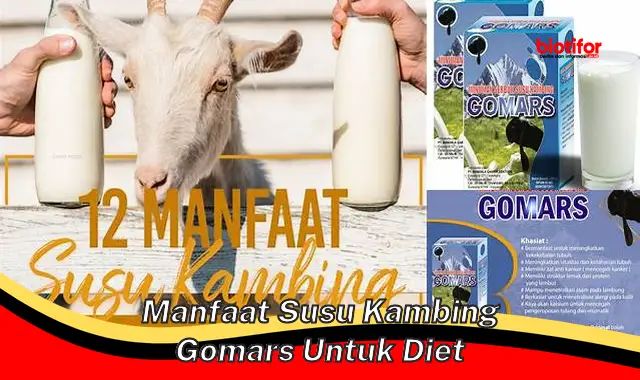 manfaat susu kambing gomars untuk diet