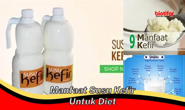 manfaat susu kefir untuk diet