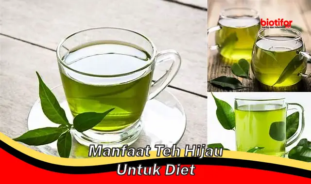 manfaat teh hijau untuk diet