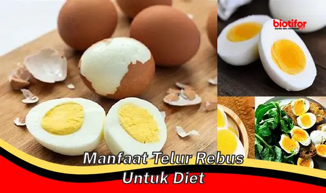 manfaat telur rebus untuk diet