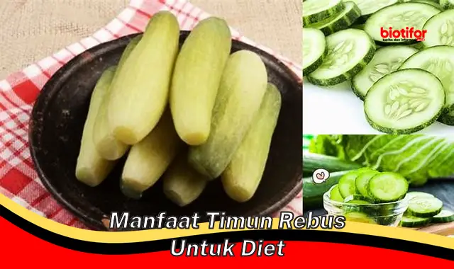 manfaat timun rebus untuk diet