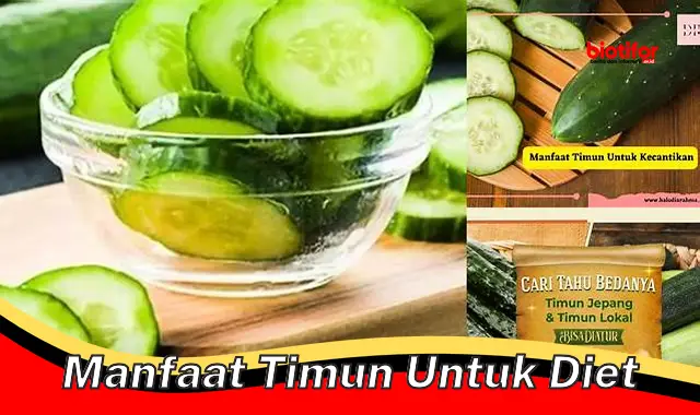 Temukan Khasiat Mentimun untuk Diet yang Jarang Diketahui