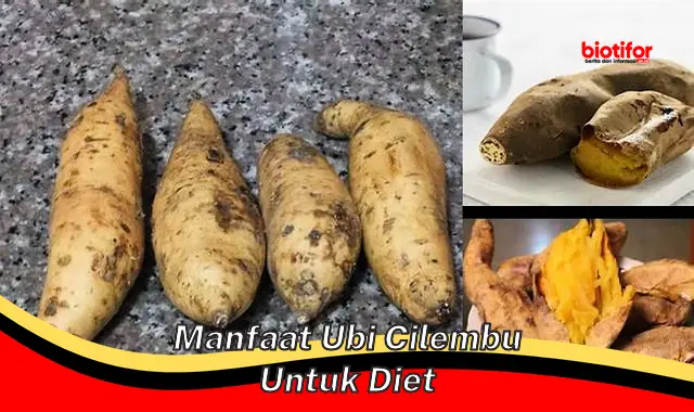 Temukan 5 Khasiat Ubi Cilembu untuk Diet Anda yang Jarang Diketahui