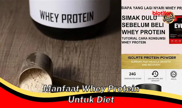 Temukan 5 Manfaat Whey Protein untuk Diet yang Jarang Diketahui