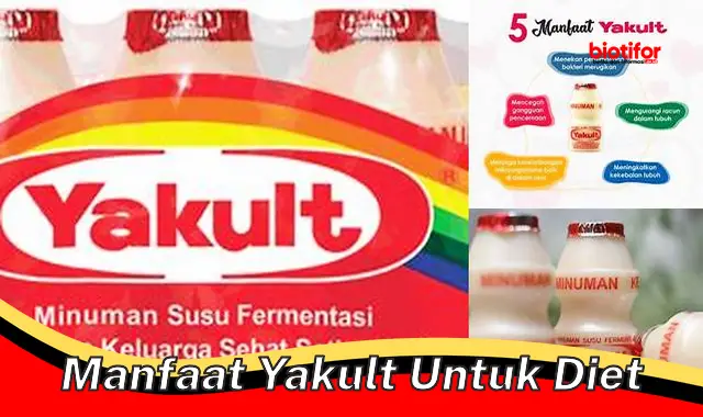 manfaat yakult untuk diet