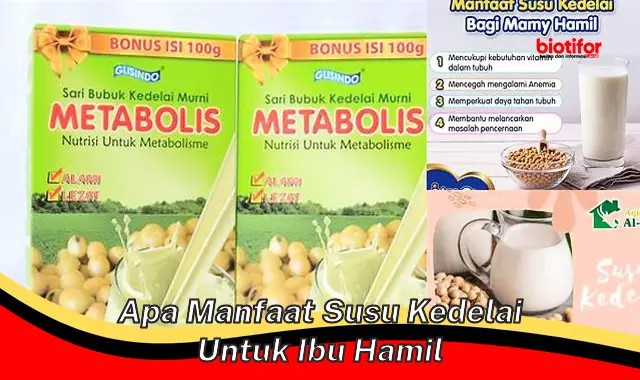 apa manfaat susu kedelai untuk ibu hamil