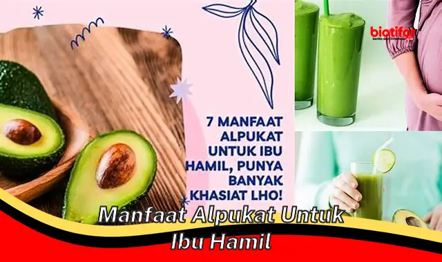 manfaat alpukat untuk ibu hamil