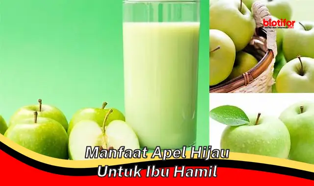 Temukan Khasiat Apel Hijau Untuk Ibu Hamil Yang Jarang Diketahui Biotifor 4574