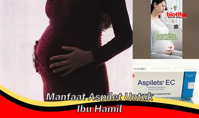 manfaat aspilet untuk ibu hamil