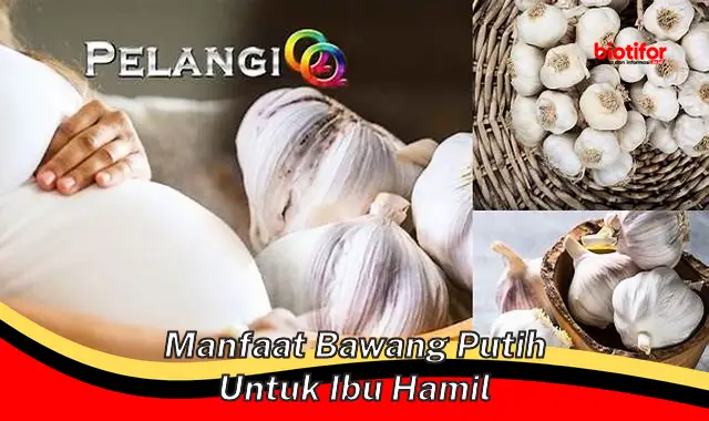 manfaat bawang putih untuk ibu hamil