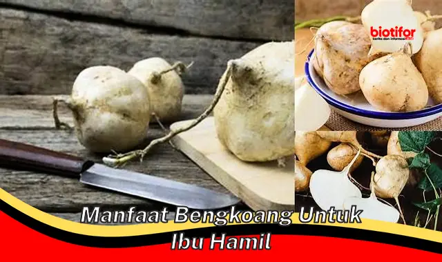 manfaat bengkoang untuk ibu hamil