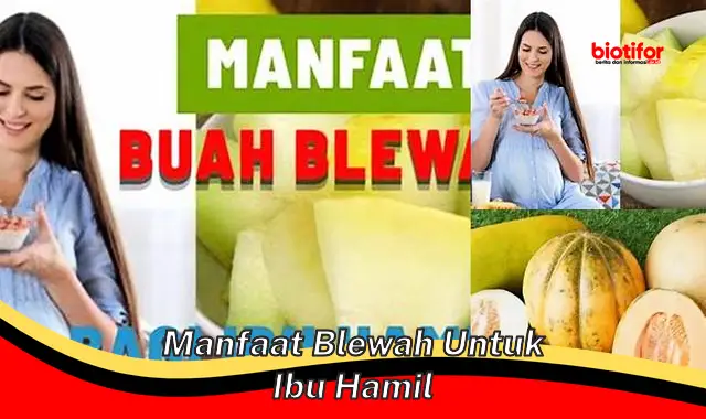 manfaat blewah untuk ibu hamil