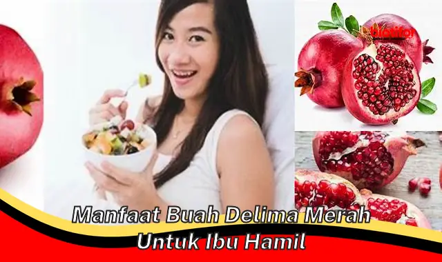 manfaat buah delima merah untuk ibu hamil