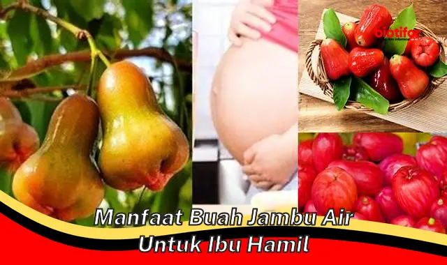 manfaat buah jambu air untuk ibu hamil