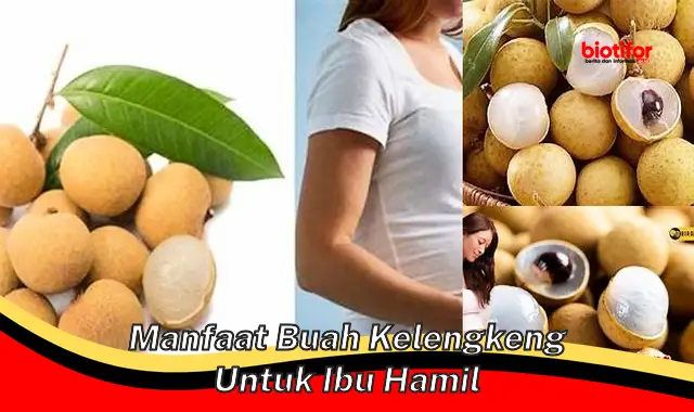 manfaat buah kelengkeng untuk ibu hamil