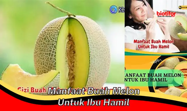 manfaat buah melon untuk ibu hamil