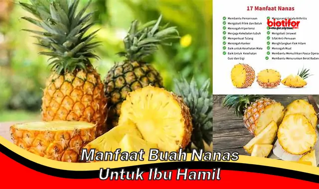 manfaat buah nanas untuk ibu hamil