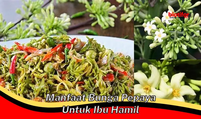 manfaat bunga pepaya untuk ibu hamil