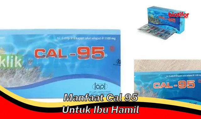 manfaat cal 95 untuk ibu hamil