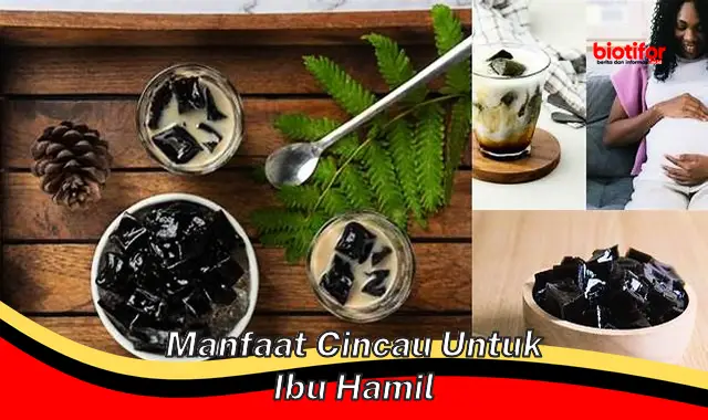 manfaat cincau untuk ibu hamil