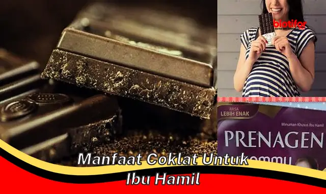 manfaat coklat untuk ibu hamil