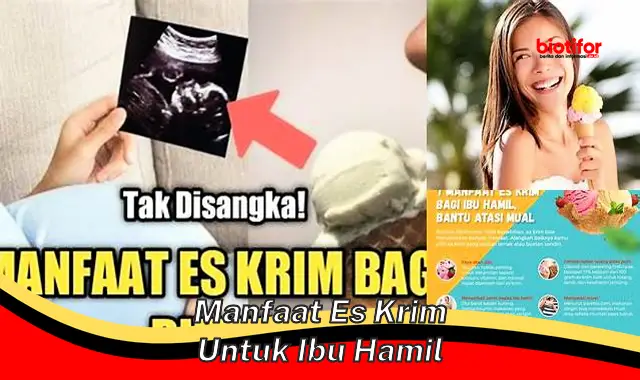 manfaat es krim untuk ibu hamil