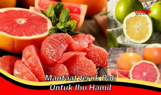 manfaat jeruk bali untuk ibu hamil