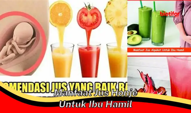 manfaat jus honje untuk ibu hamil