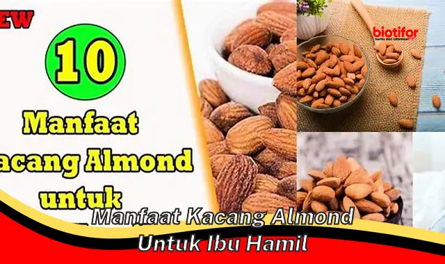 manfaat kacang almond untuk ibu hamil