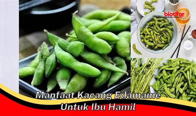 manfaat kacang edamame untuk ibu hamil