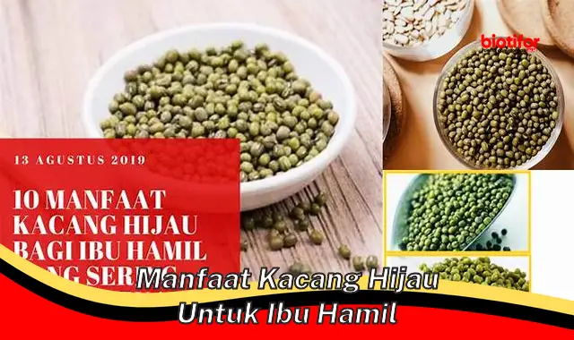 manfaat kacang hijau untuk ibu hamil