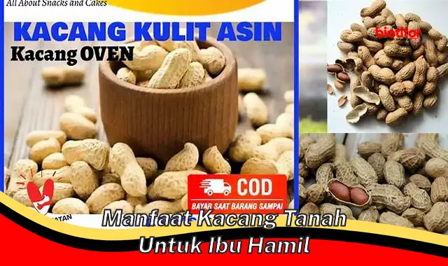 manfaat kacang tanah untuk ibu hamil