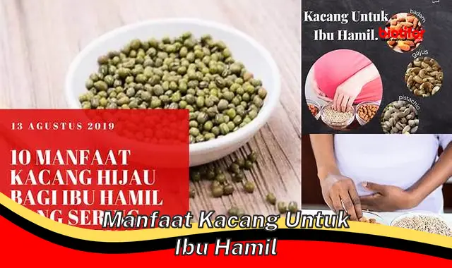 Temukan Manfaat Kacang yang Belum Diketahui untuk Ibu Hamil