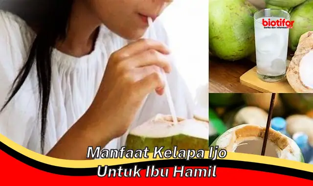 manfaat kelapa ijo untuk ibu hamil